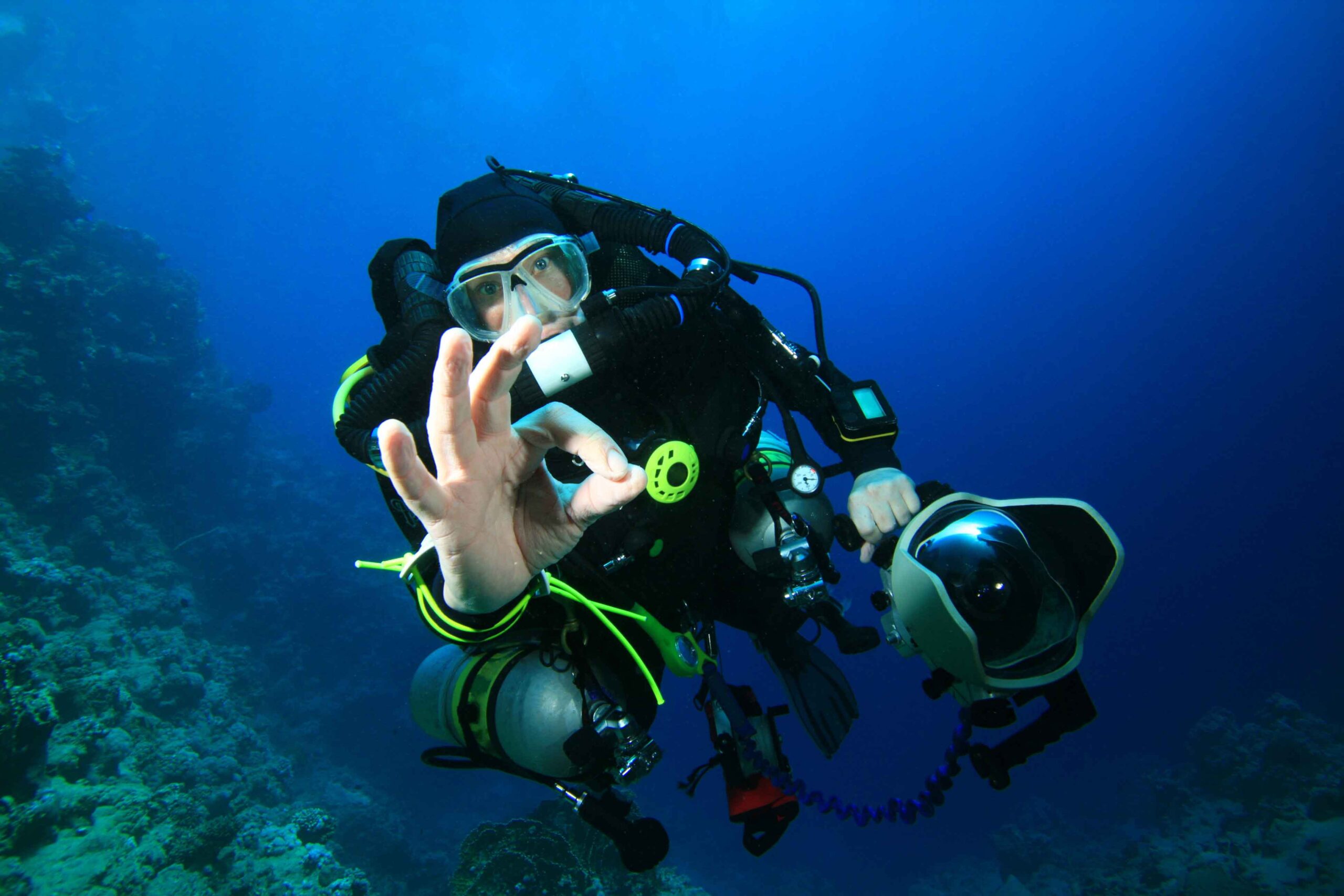 a diver photographing marine wildlife respectfully arranged by scuba club tucson
