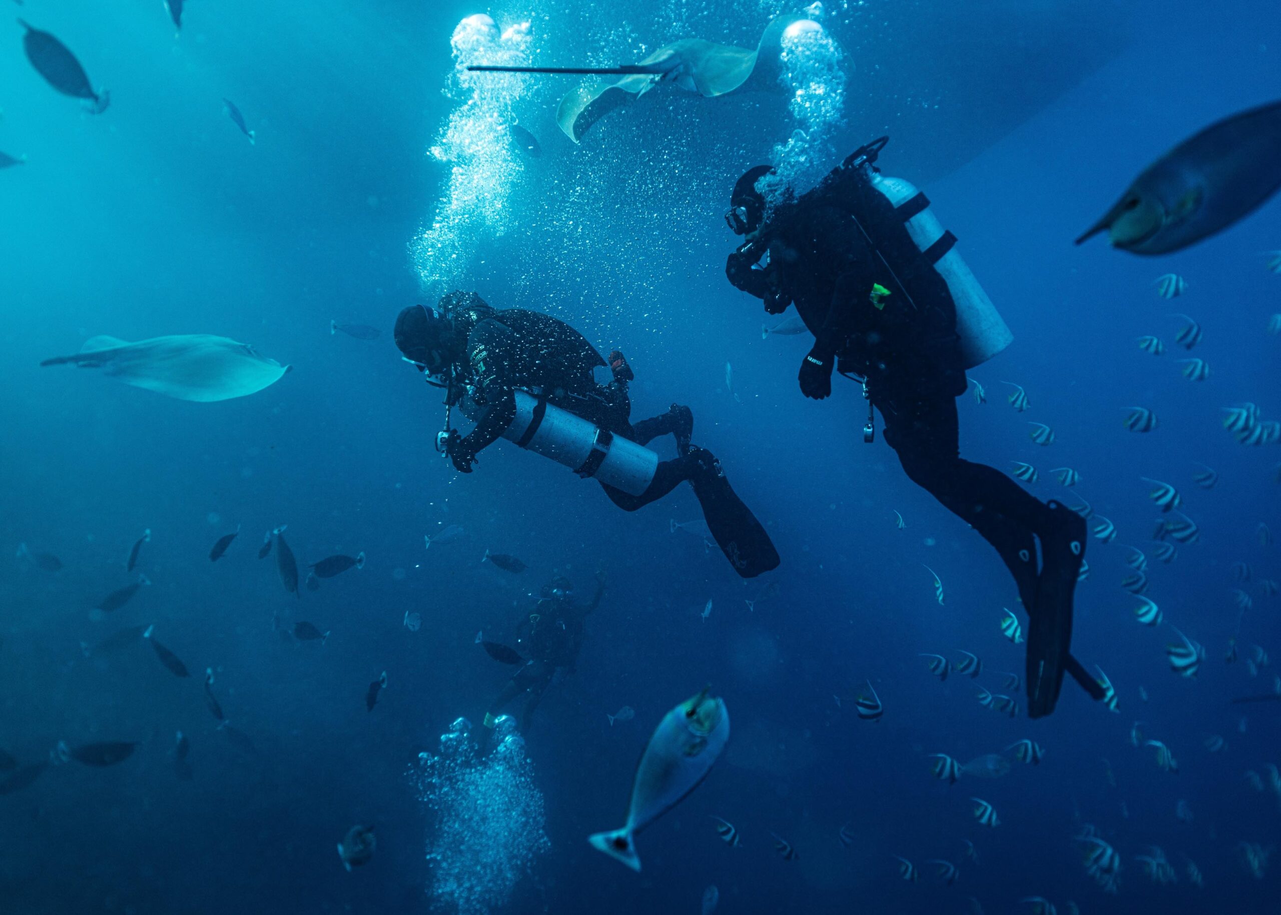 Why Diving with a Buddy Offers Unmatched Benefits